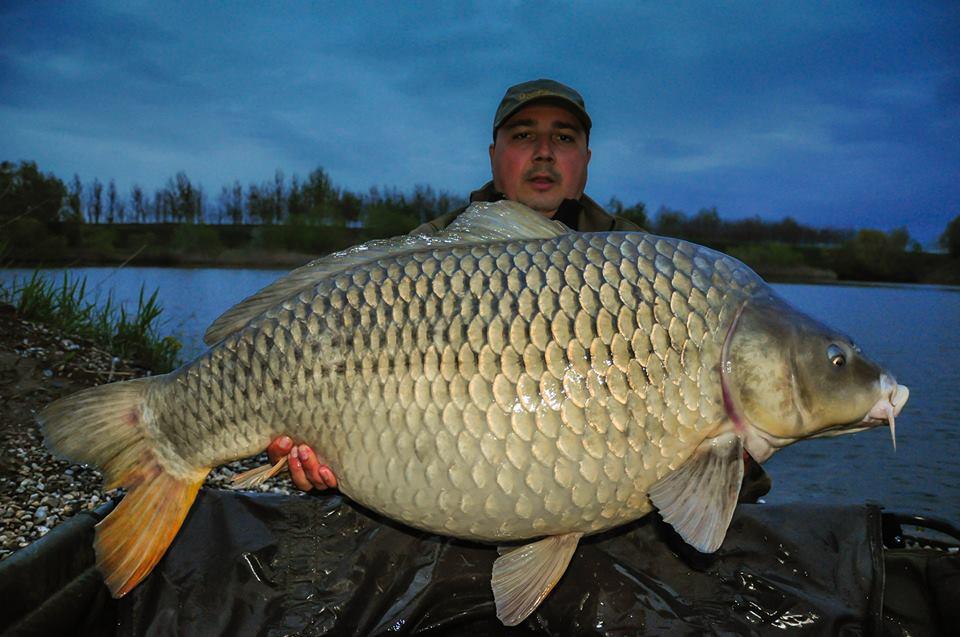 Crapii de la Varlaam iubesc CPK